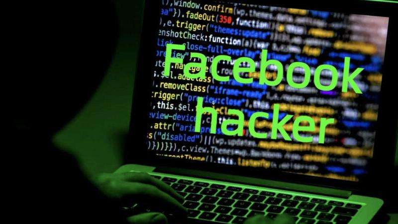 解释Facebook密码字段的含义和用途