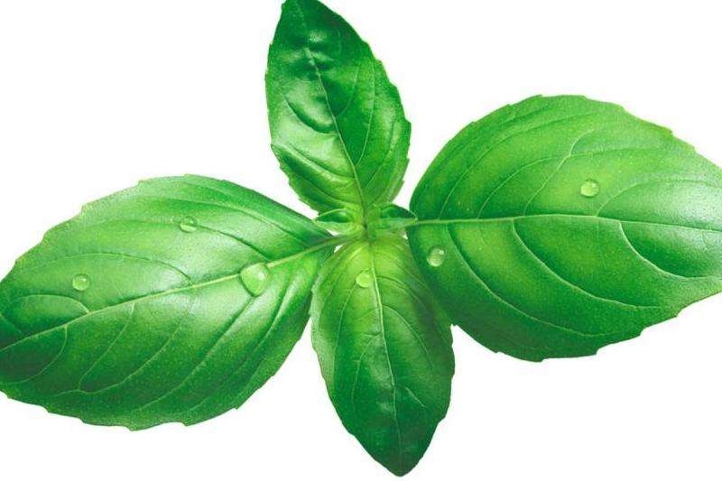 在Lumia930上使用Facebook的方法和注意事项